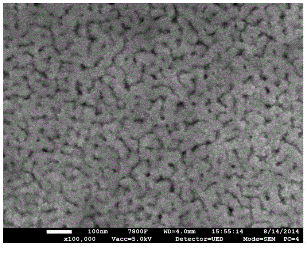 Method for preparing fuel cell thin film electrode by using nanoporous gold