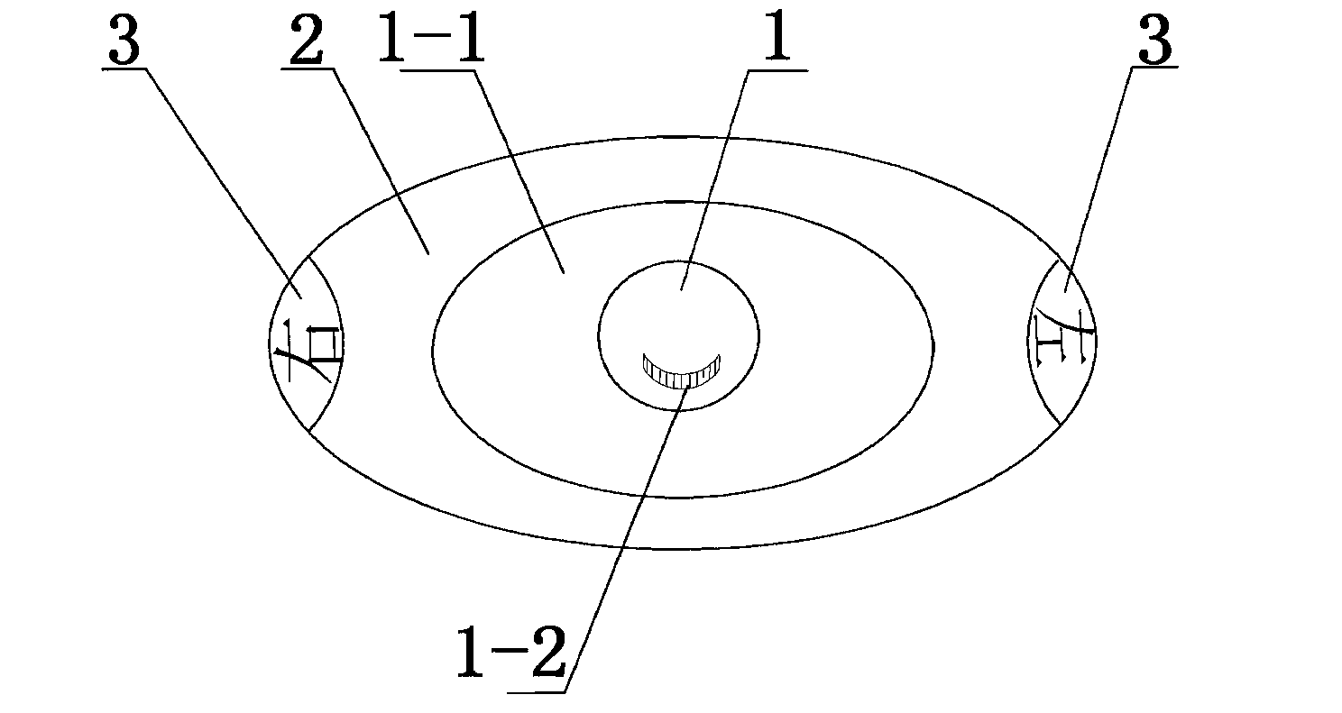 Nose spray device with side-arrangement-type spray nozzles