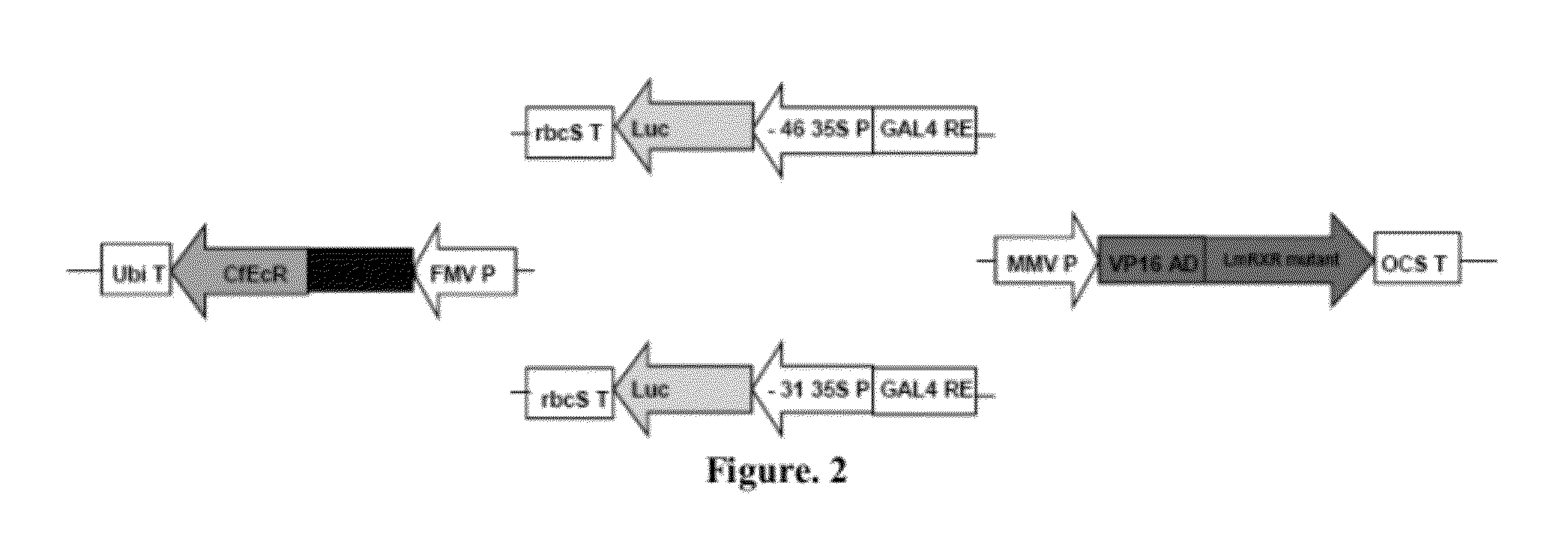 Gene expression modulation system for use in plants and method for modulating gene expression in plants