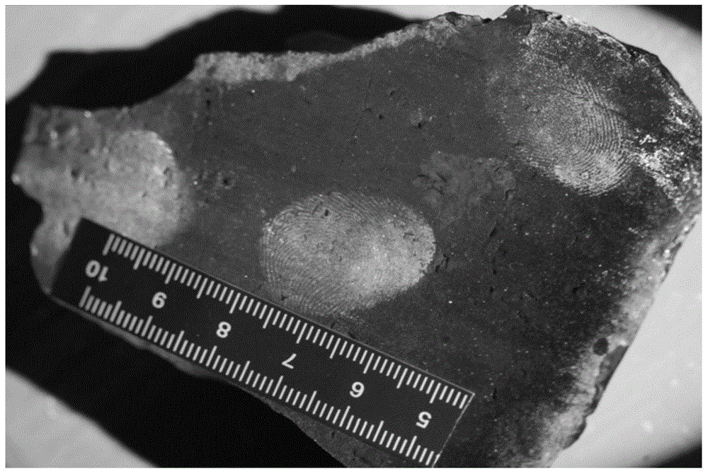 A Method for Appearing Fingerprints on Permeable Objects with Rough Surfaces