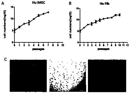 Method for inducing differentiated cells to prepare mesenchymal stem cells and combination for regulating targets