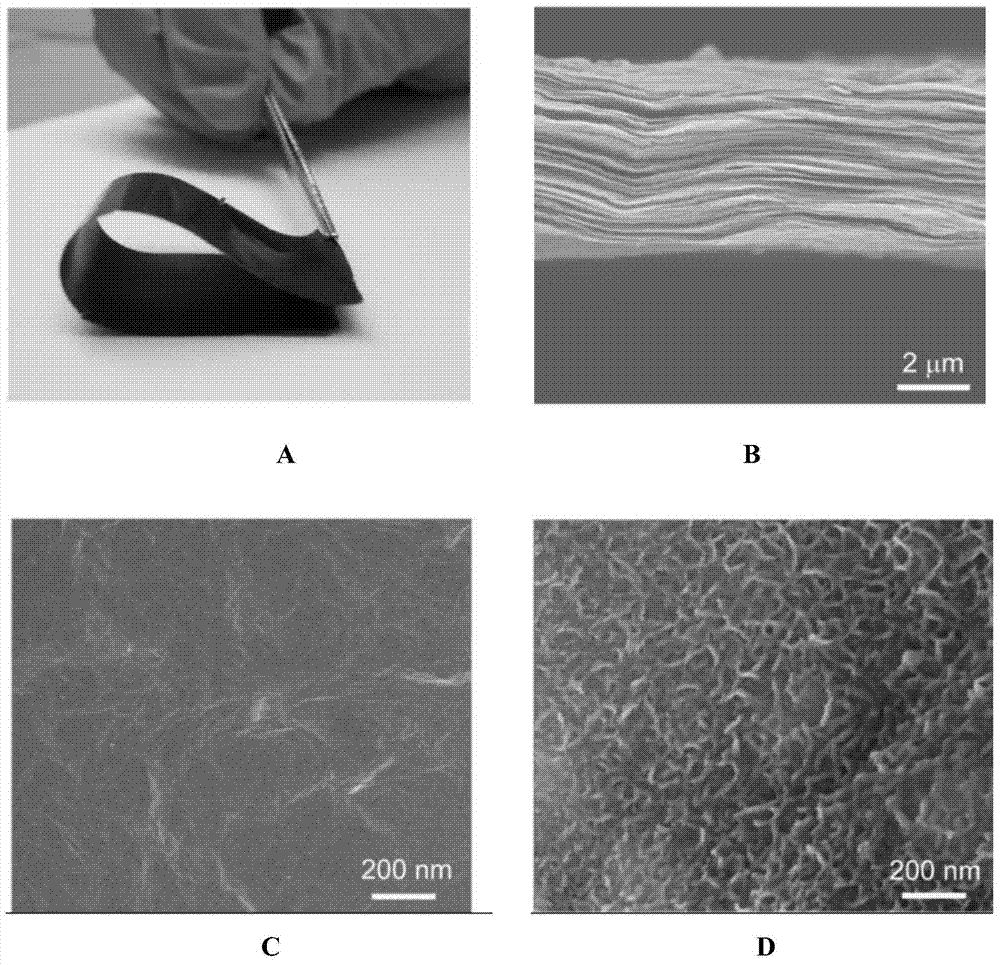 Nanometer cobalt hydroxide-graphene composite membrane and preparation method and application thereof