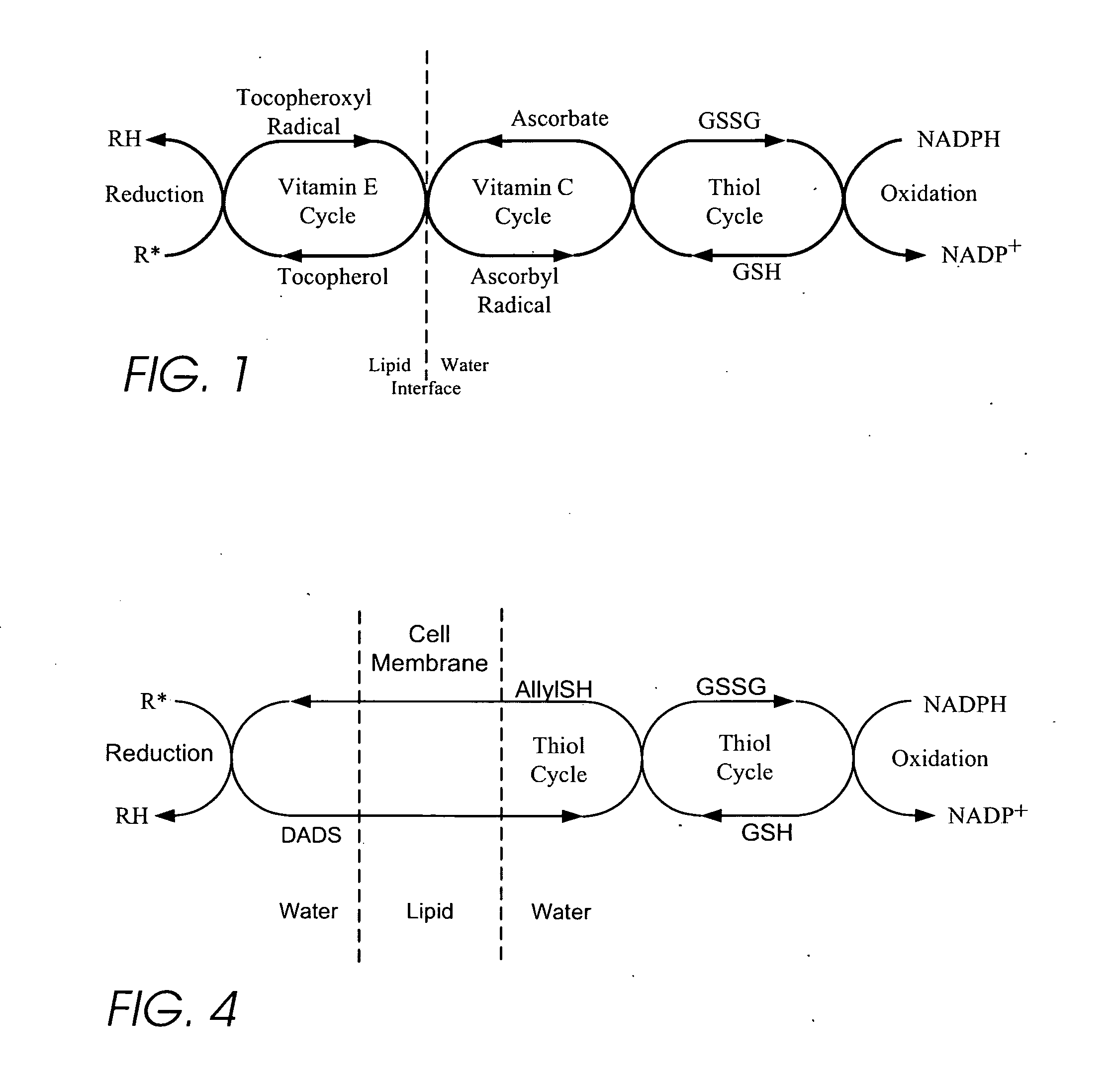 Personal care and medicinal products incorporating orgnosulfur groups