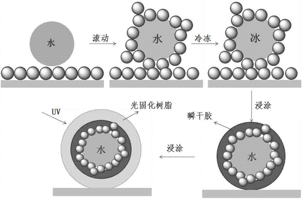 Method for preparing water-supported microcapsule based on liquid marbles