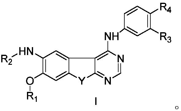 Pyrimidine derivative serving as HER2 tyrosine kinase inhibitor and application of pyrimidine derivative