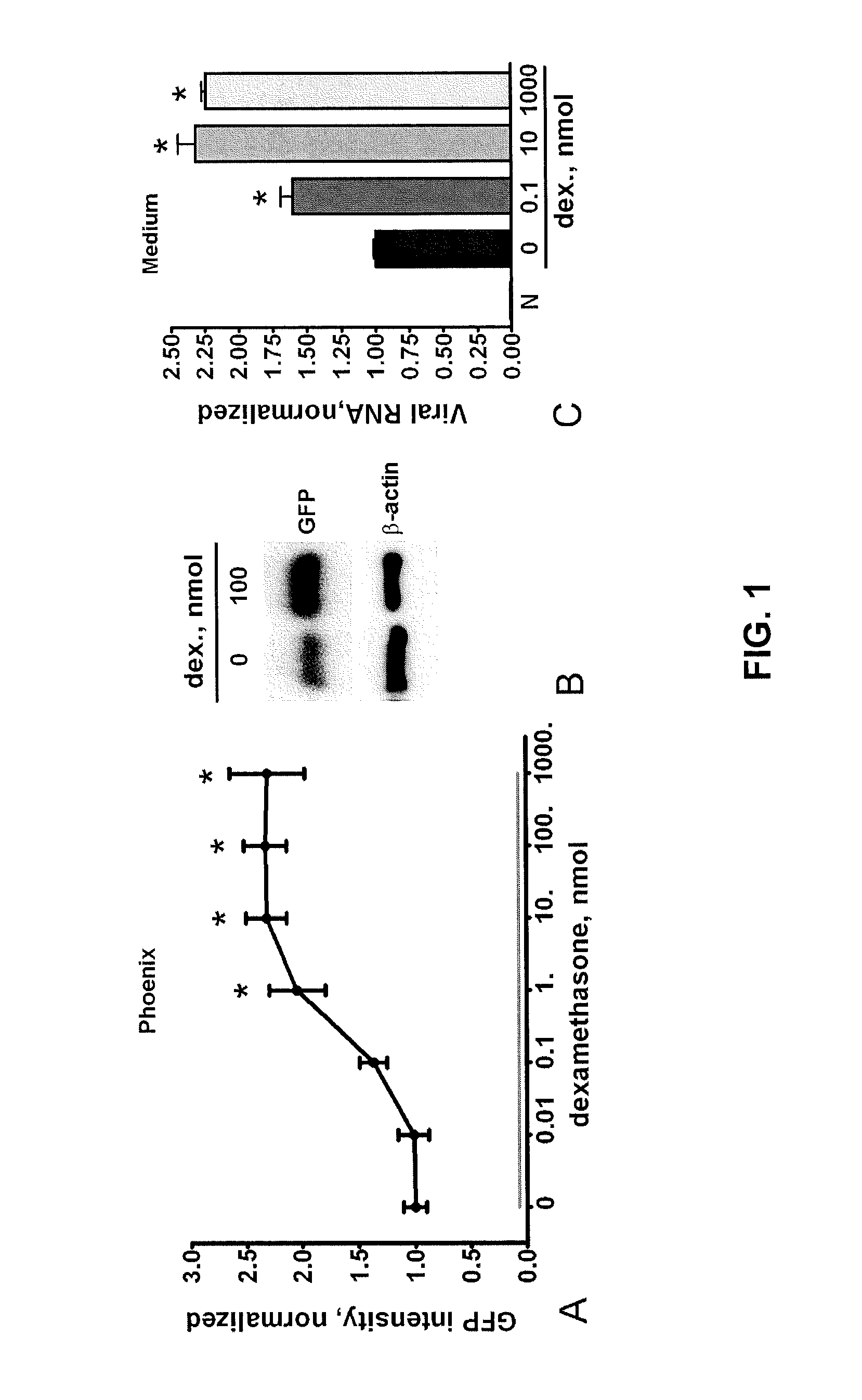 Method for increasing retroviral infectivity