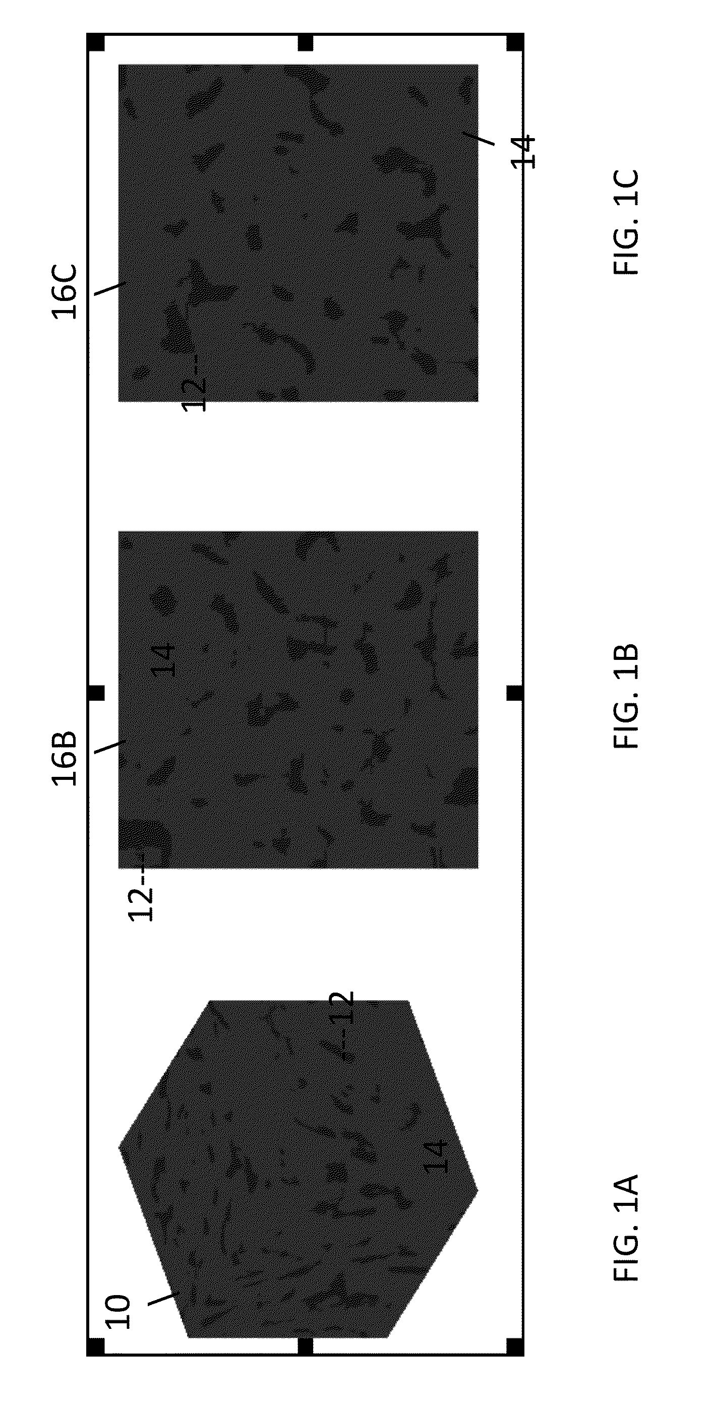 Method and system for estimating rock properties from rock samples using digital rock physics imaging