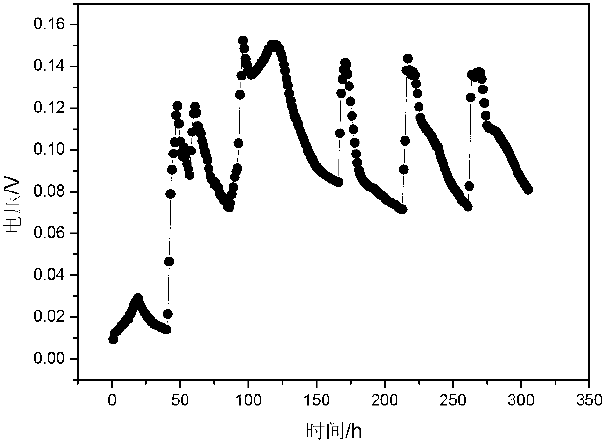 Shewanella haliotis strain and its application in bioelectricity generation