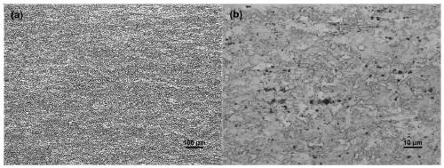 A low-cost high-strength toughness micro-rare earth deformed magnesium alloy and its preparation method