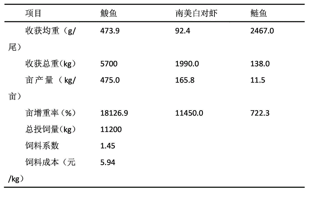 Environment-friendly nutritional type compound feed of mullet