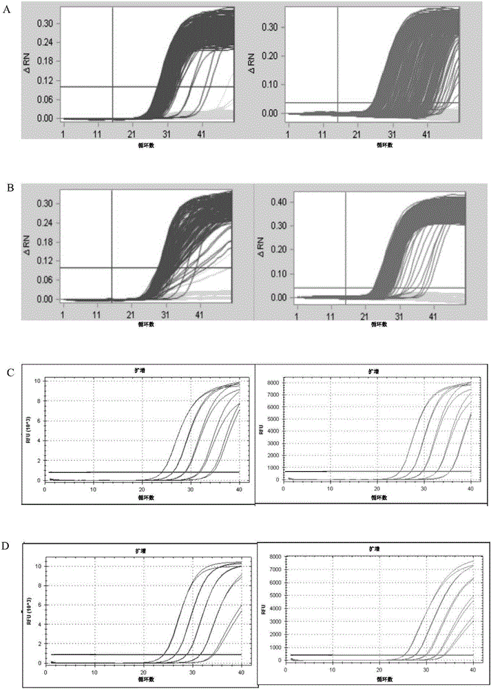 Double digital PCR fluorescent quantitative detection method for transgenic maize BT176