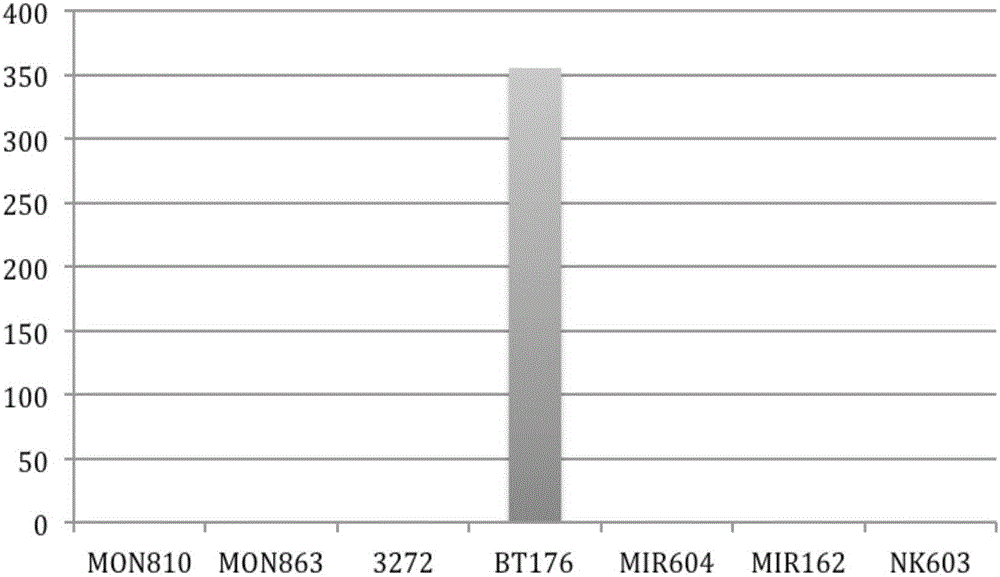 Double digital PCR fluorescent quantitative detection method for transgenic maize BT176