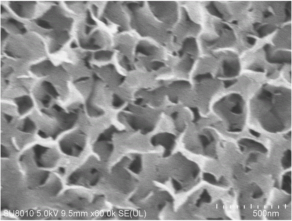 SERS (Surface enhanced Raman Scattering) substrate based on boehmite nanometer film and preparation method thereof