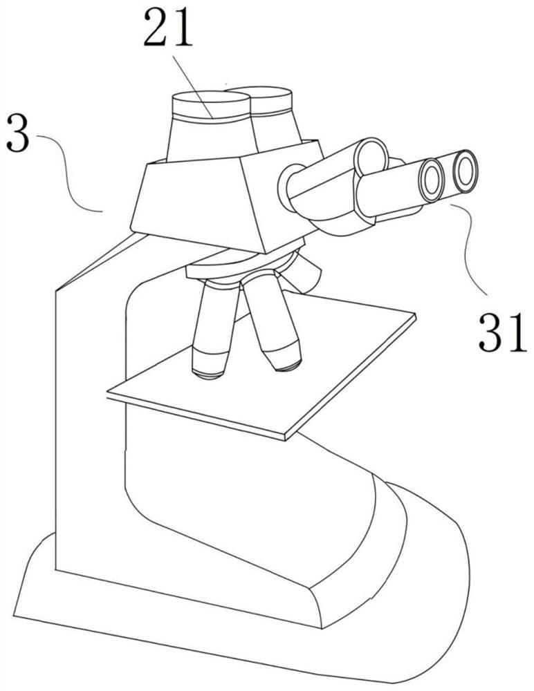 Microscope real-time 3D array display system and method