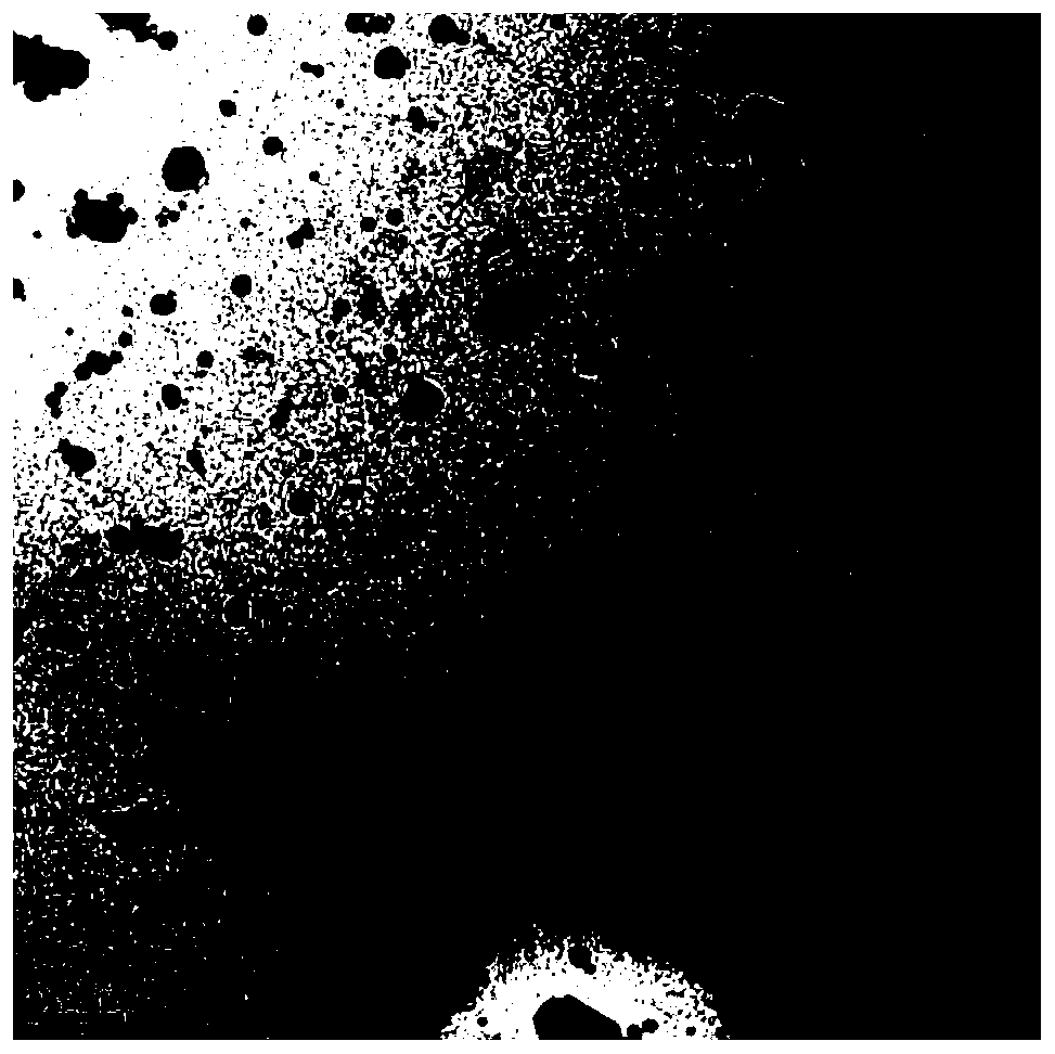 A kind of oxide dispersion strengthened iron-based alloy powder and its characterization method