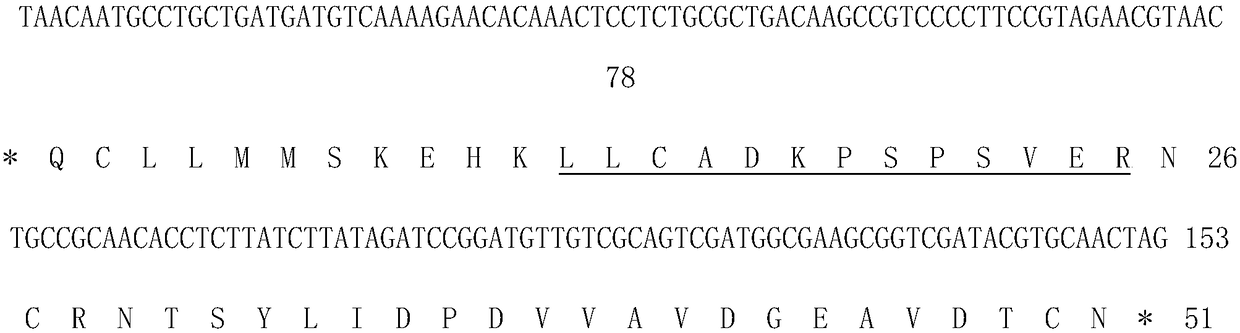 Coding gene of Mycobacterium tuberculosis H37Rv and use thereof