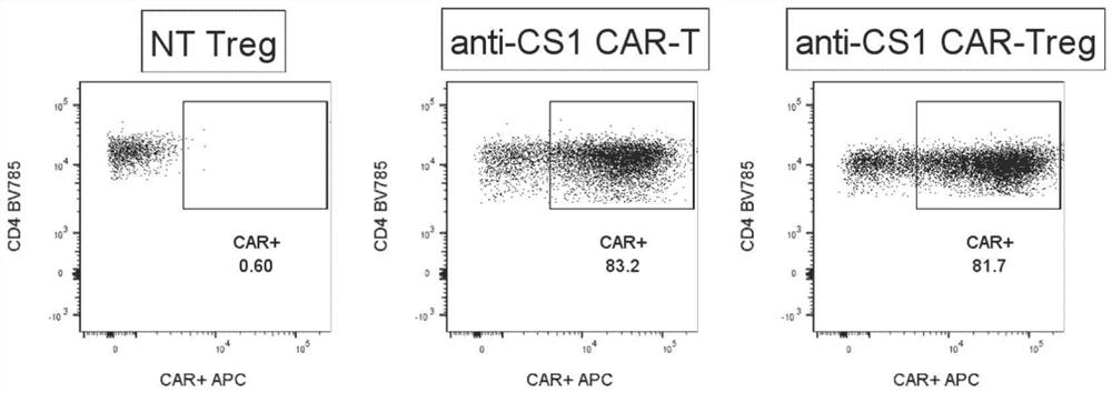 Preparation method and application of universal chimeric antigen receptor regulatory T cell