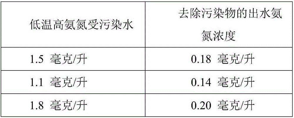 A double-stage deep bed upflow composite filter material biological filter