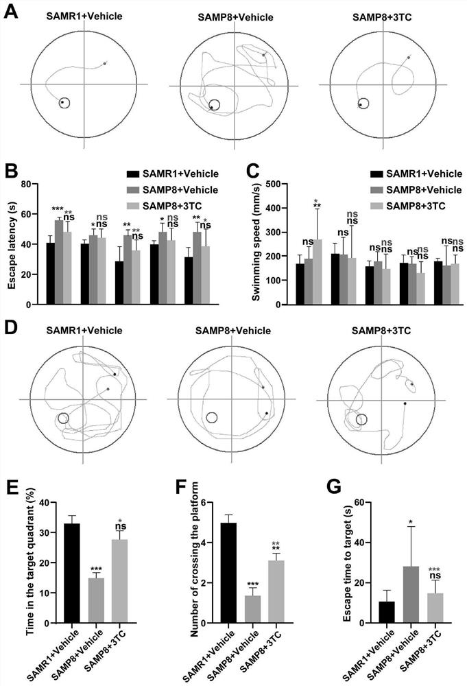 Application of lamivudine in preparation of medicine for treating Alzheimer's disease