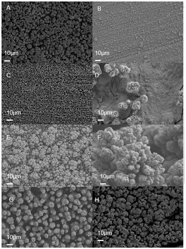 Cobalt-based metal/metal oxide hydrogen evolution catalyst with out-phase junction as well as preparation and application of cobalt-based metal/metal oxide hydrogen evolution catalyst