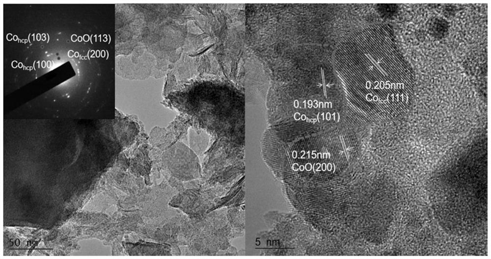 Cobalt-based metal/metal oxide hydrogen evolution catalyst with out-phase junction as well as preparation and application of cobalt-based metal/metal oxide hydrogen evolution catalyst