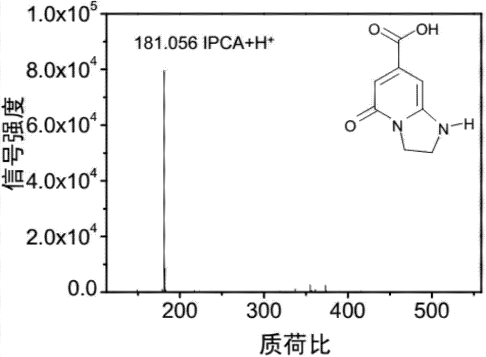 Highlight and high-purity water solubility fluorescent molecules and preparing method thereof