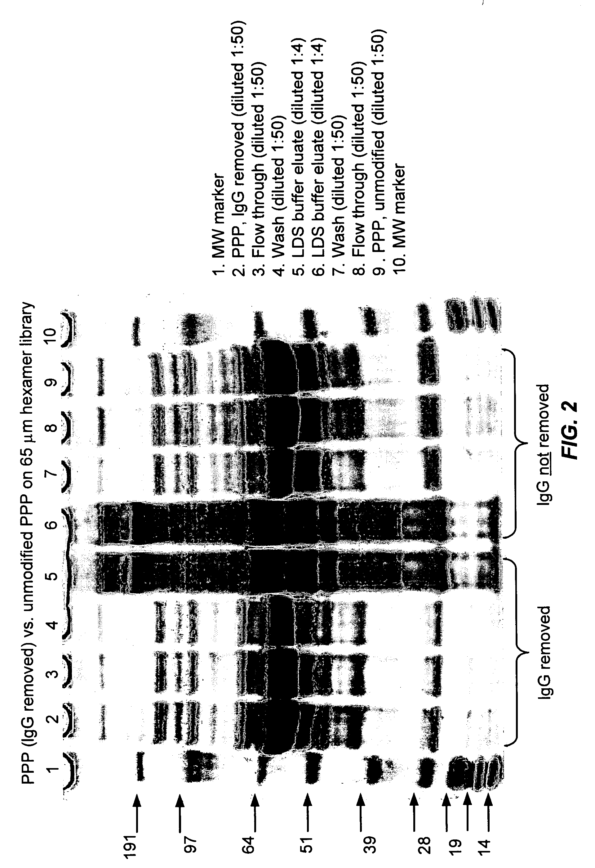 Methods for reducing the range in concentrations of analyte species in a sample
