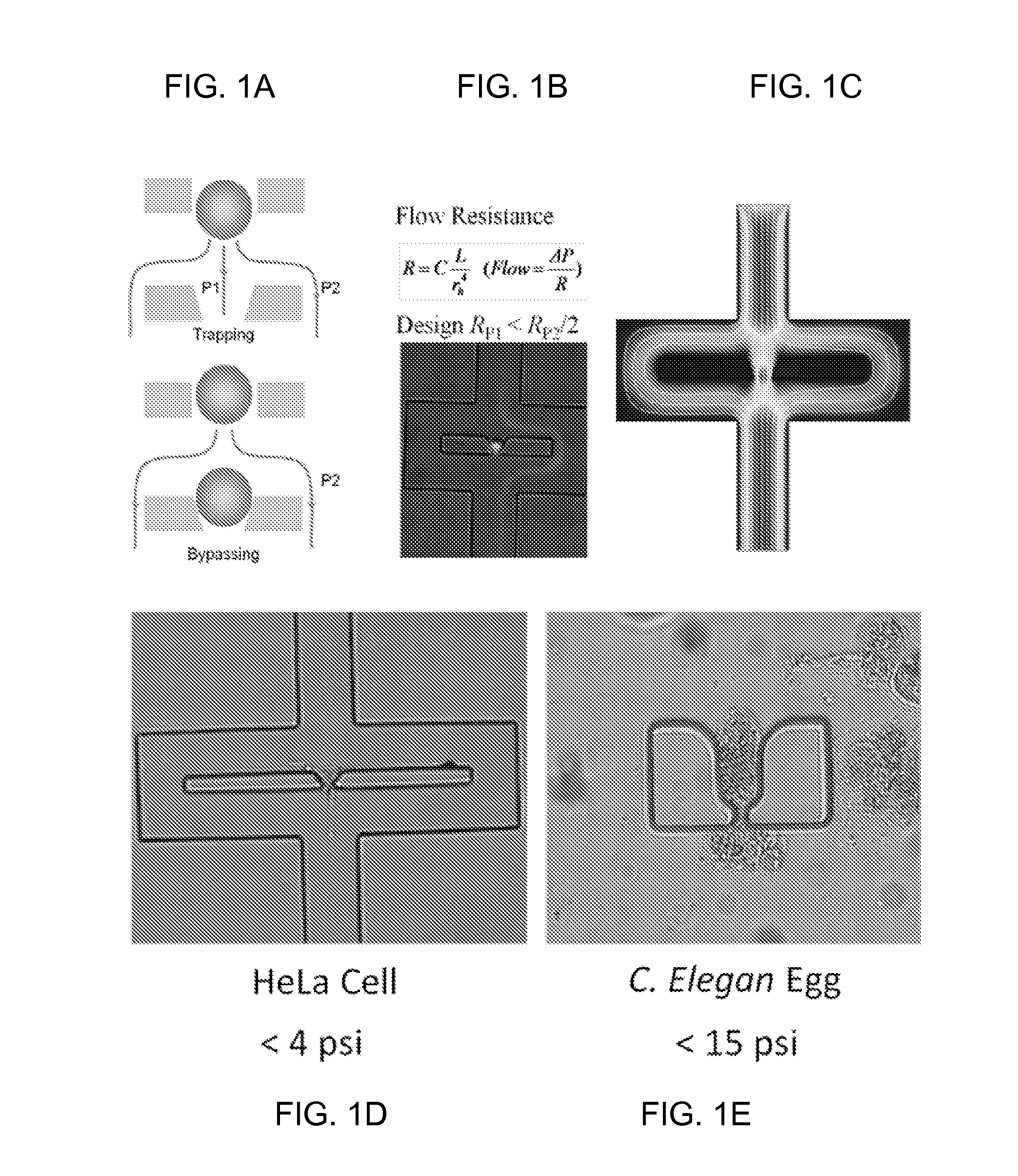 Handheld low pressure mechanical cell lysis device with single cell resolution