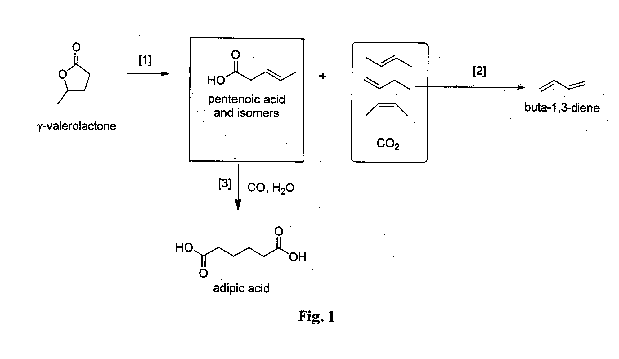 Process to produce a diene from a lactone