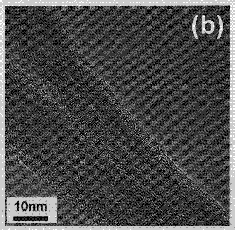 Method for improving electric conductivity of carbon nano tube network