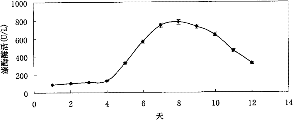 Lignocellulose degrading bacteria and application thereof