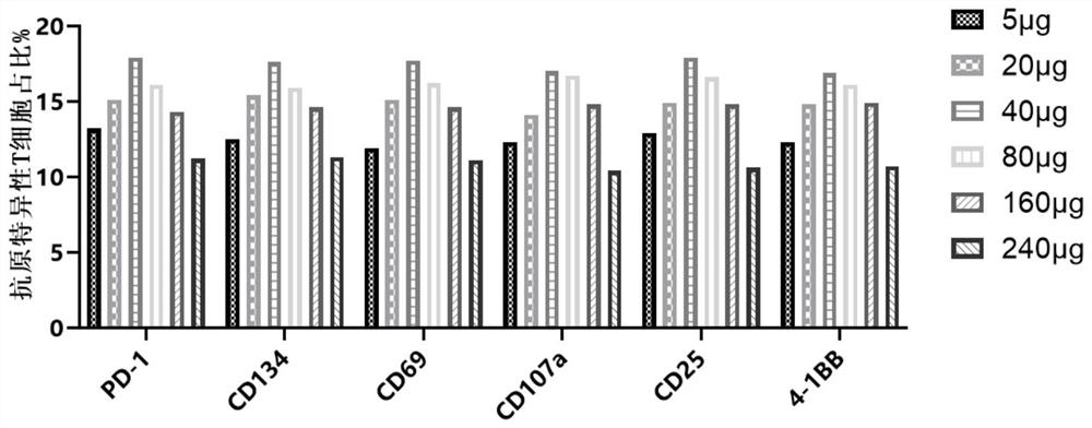 Method for obtaining antigen-specific T cells