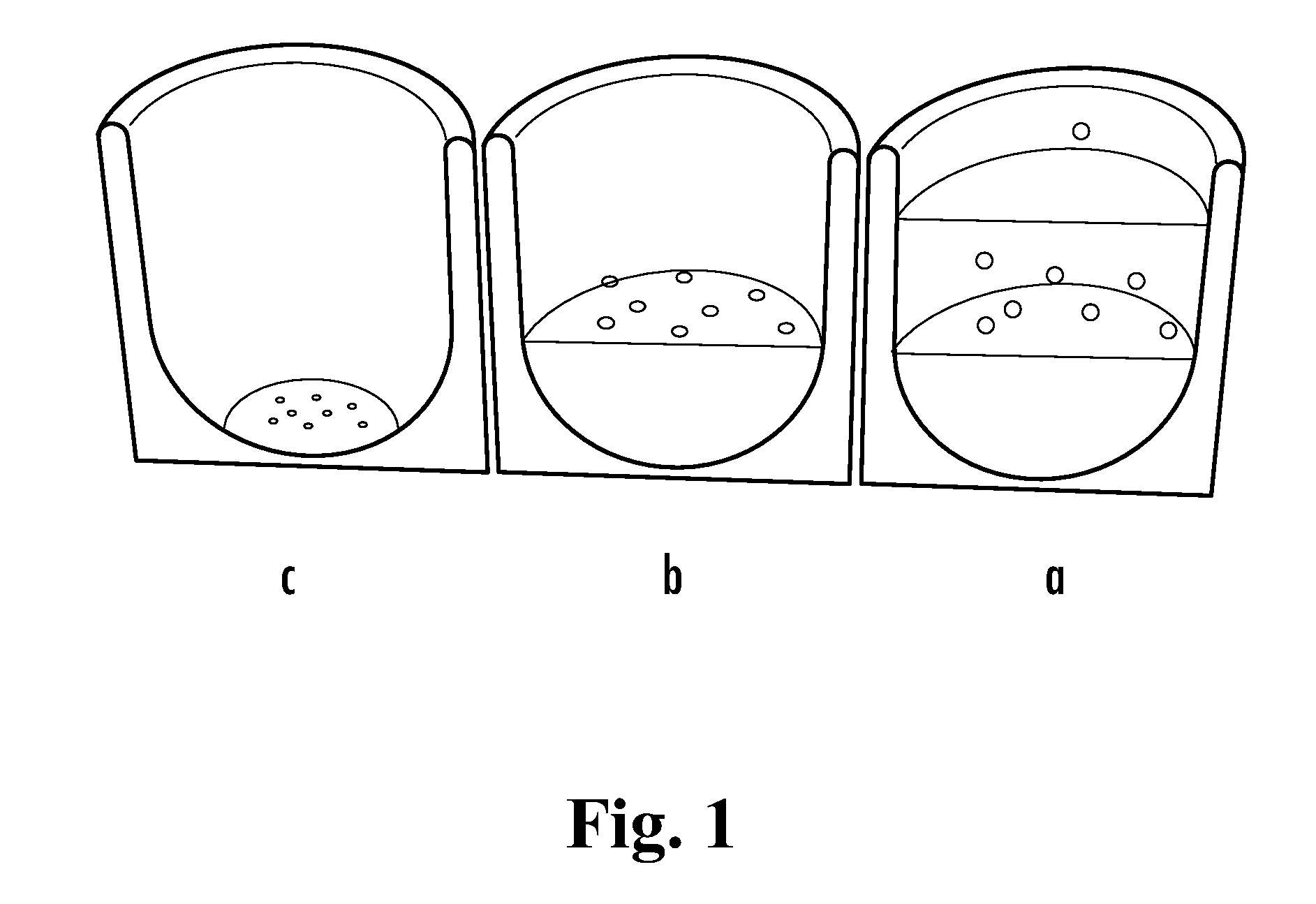 Loadable Polymeric Particles for Cosmetic and Reconstructive Tissue Augmentation Applications and Methods of Preparing and Using the Same