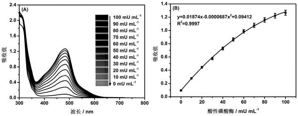 Measurement method of acid phosphatase activity