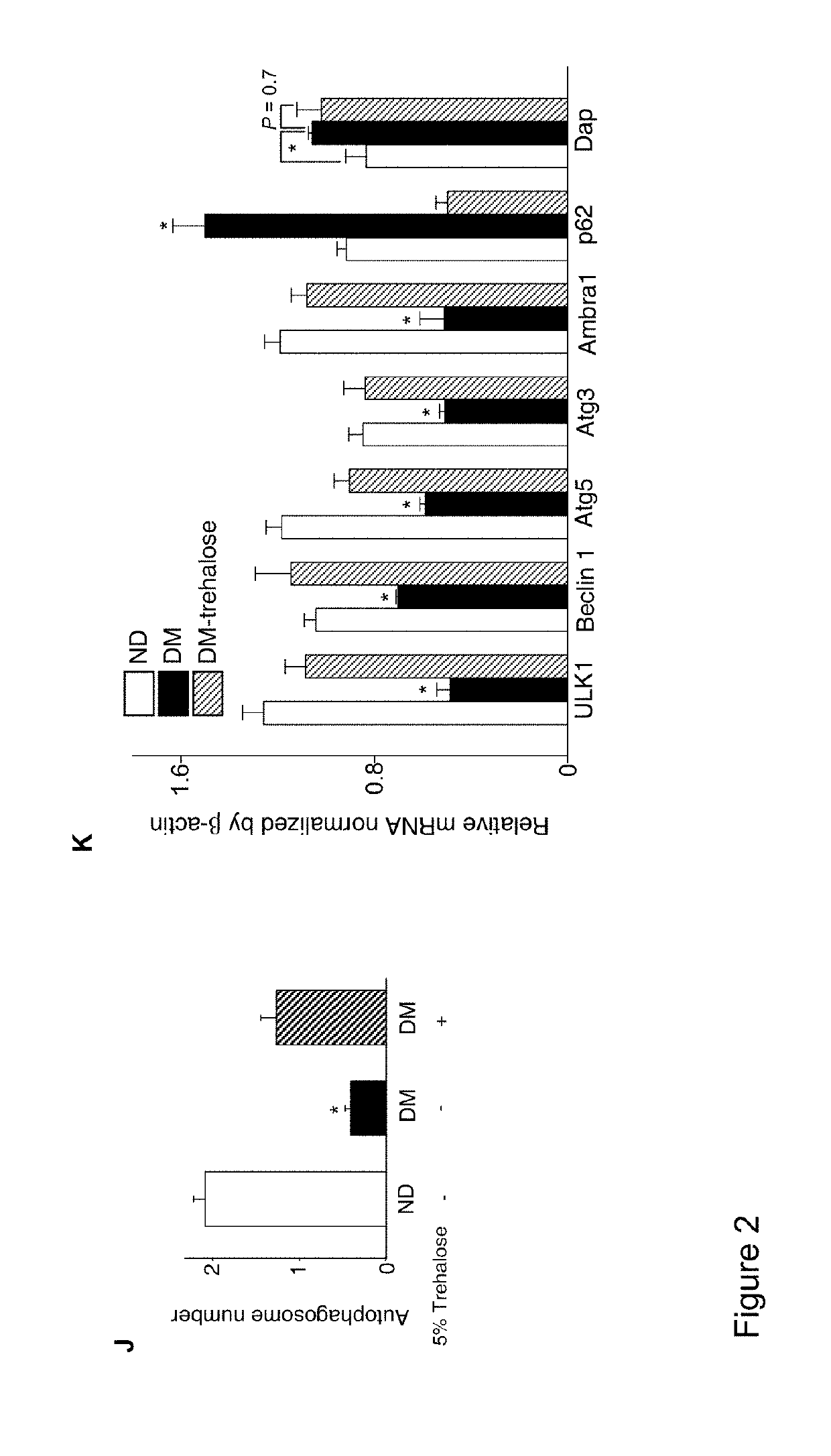 Use of trehalose for prevention of neural tube defects