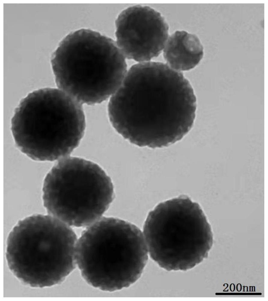 Mesoporous polydopamine nanoparticles for tumor T1-T2 magnetic resonance imaging