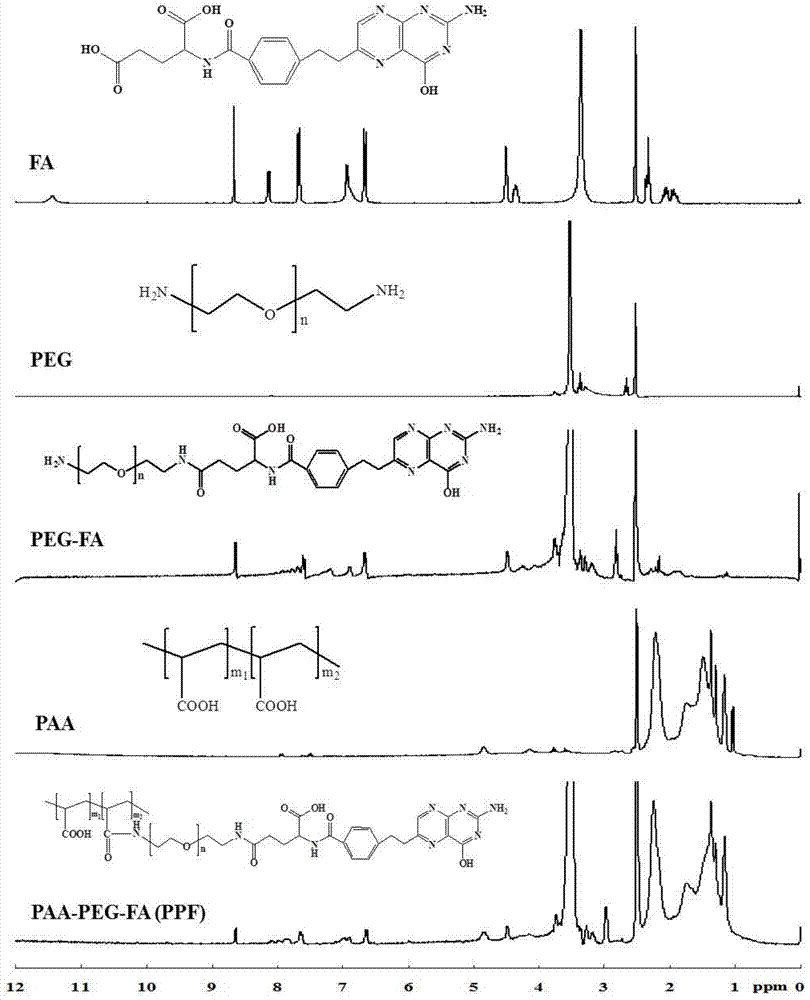 Co-delivery nano-carrier of drug and gene, preparation method and application thereof