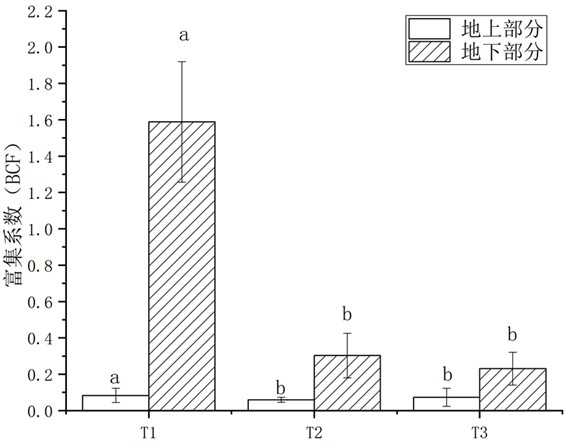 Method for safely utilizing lead-polluted soil