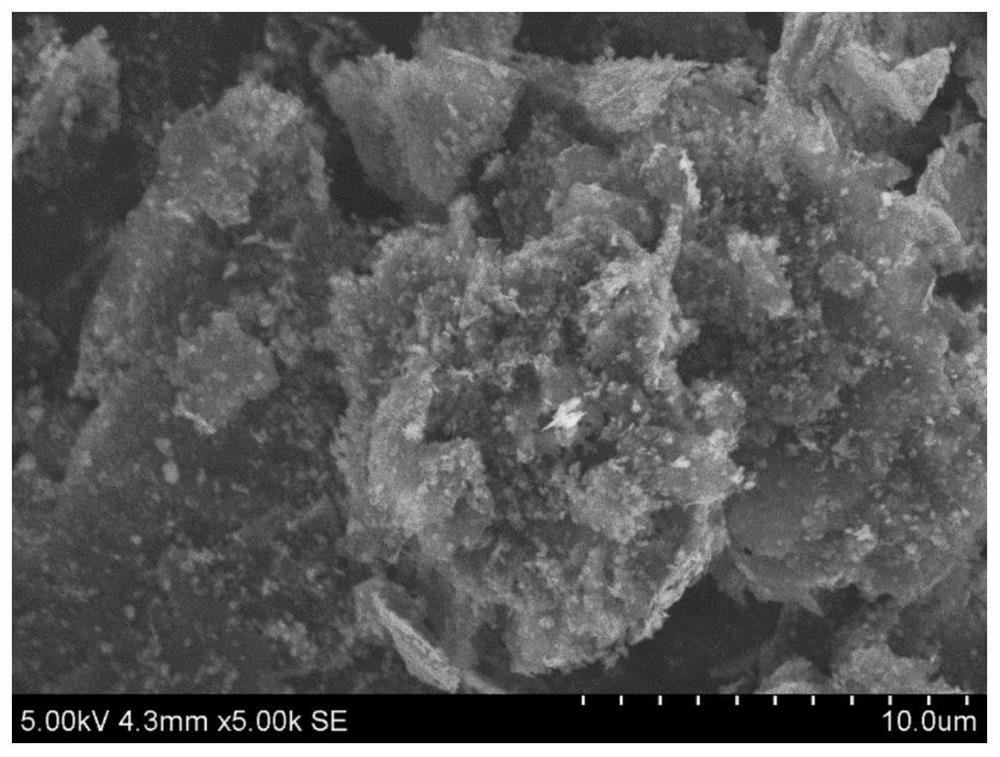 Silicon-carbon negative electrode material and preparation method thereof