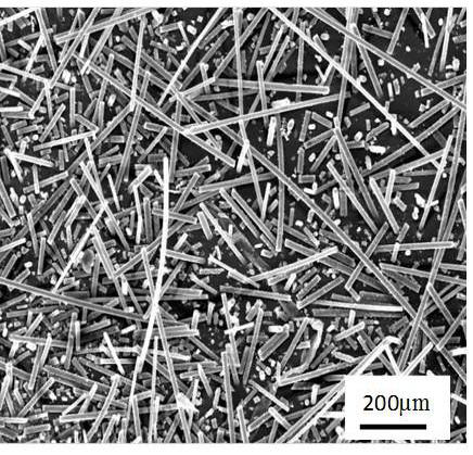 Preparation method for boron nitride fiber reinforced silicon boron oxygen nitrogen ceramic based composite material