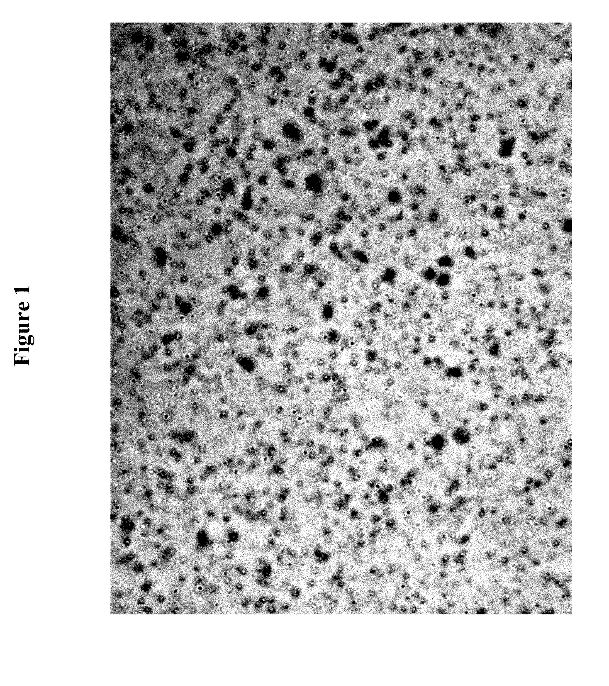 Polymeric topical antiseptic compound and method of use