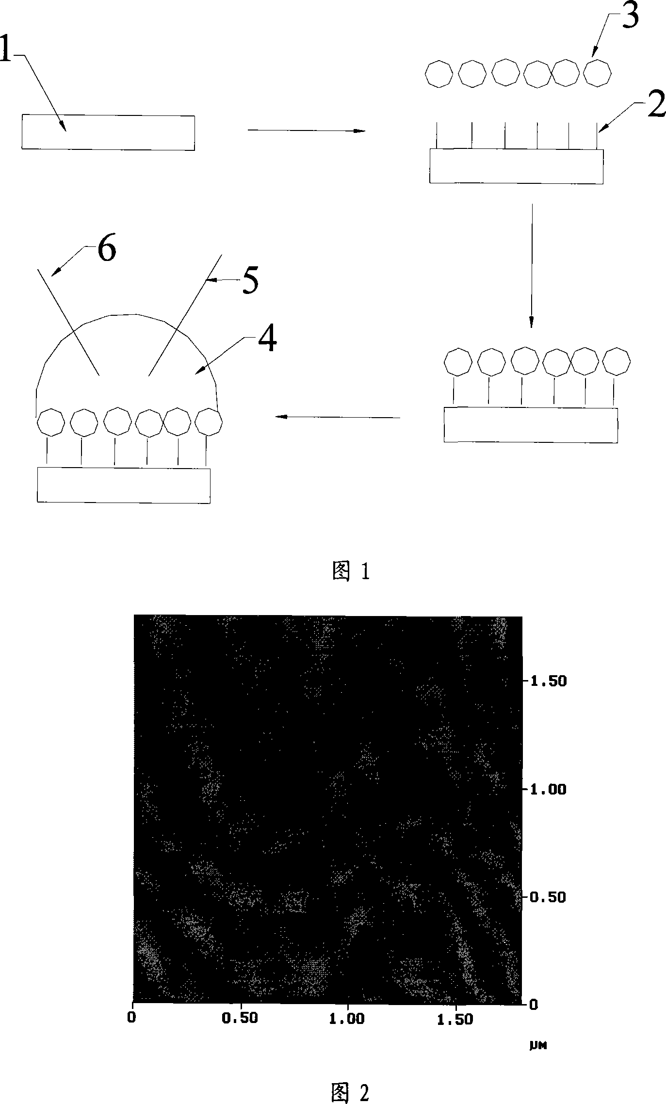 Preparation method of nano biosensor for differentiating different sensitive and drug-resistant cancer cell
