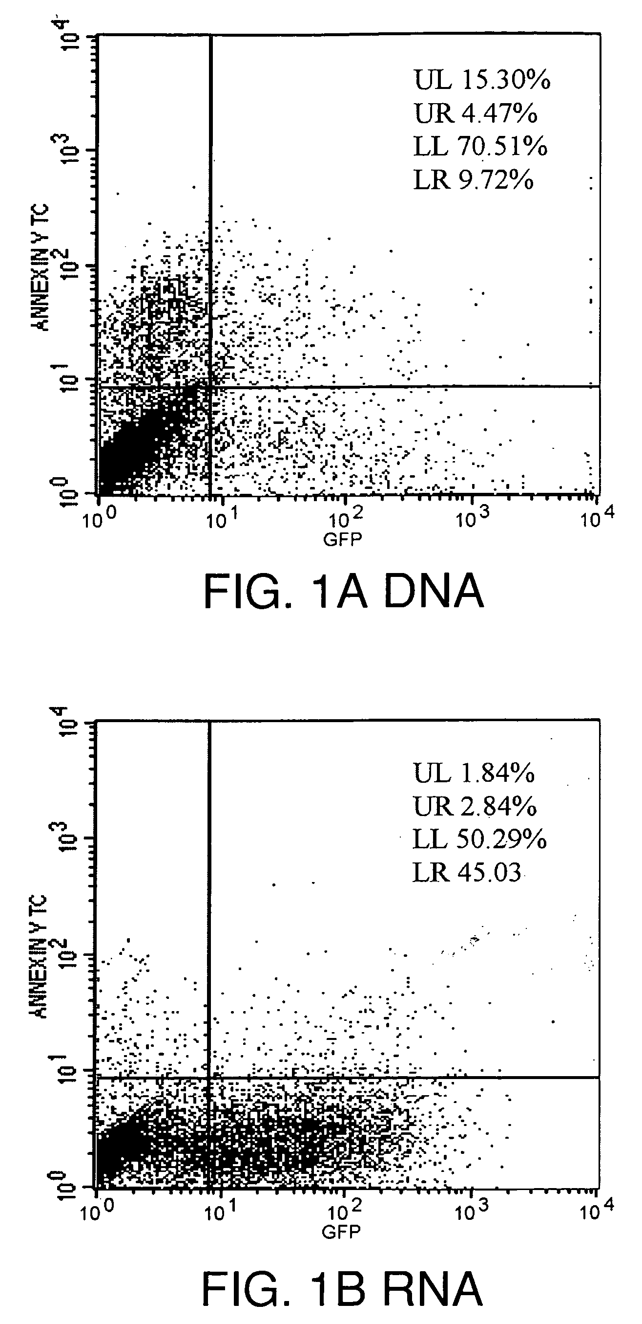 Methods and models for rapid, widespread delivery of genetic material to the CNS using non-viral, cationic lipid-mediated vectors