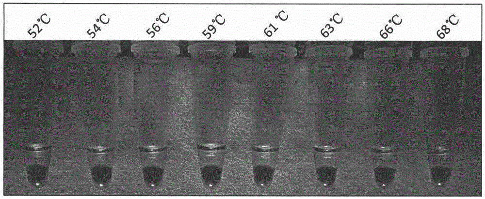 Method for fast detecting botryis cinerea's resistance to QoI type bactericides and primer composition