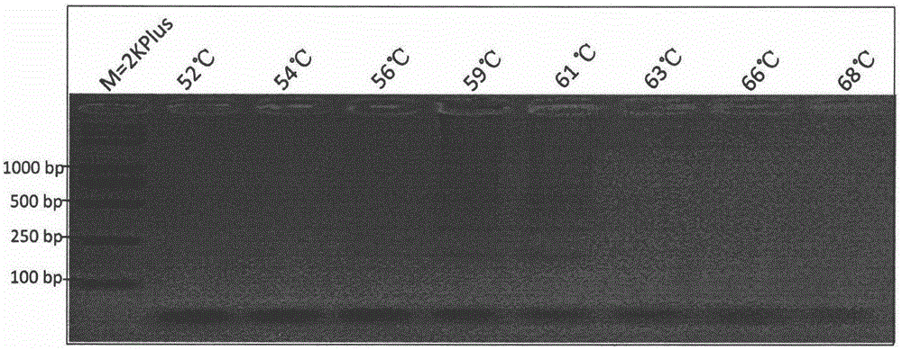 Method for fast detecting botryis cinerea's resistance to QoI type bactericides and primer composition