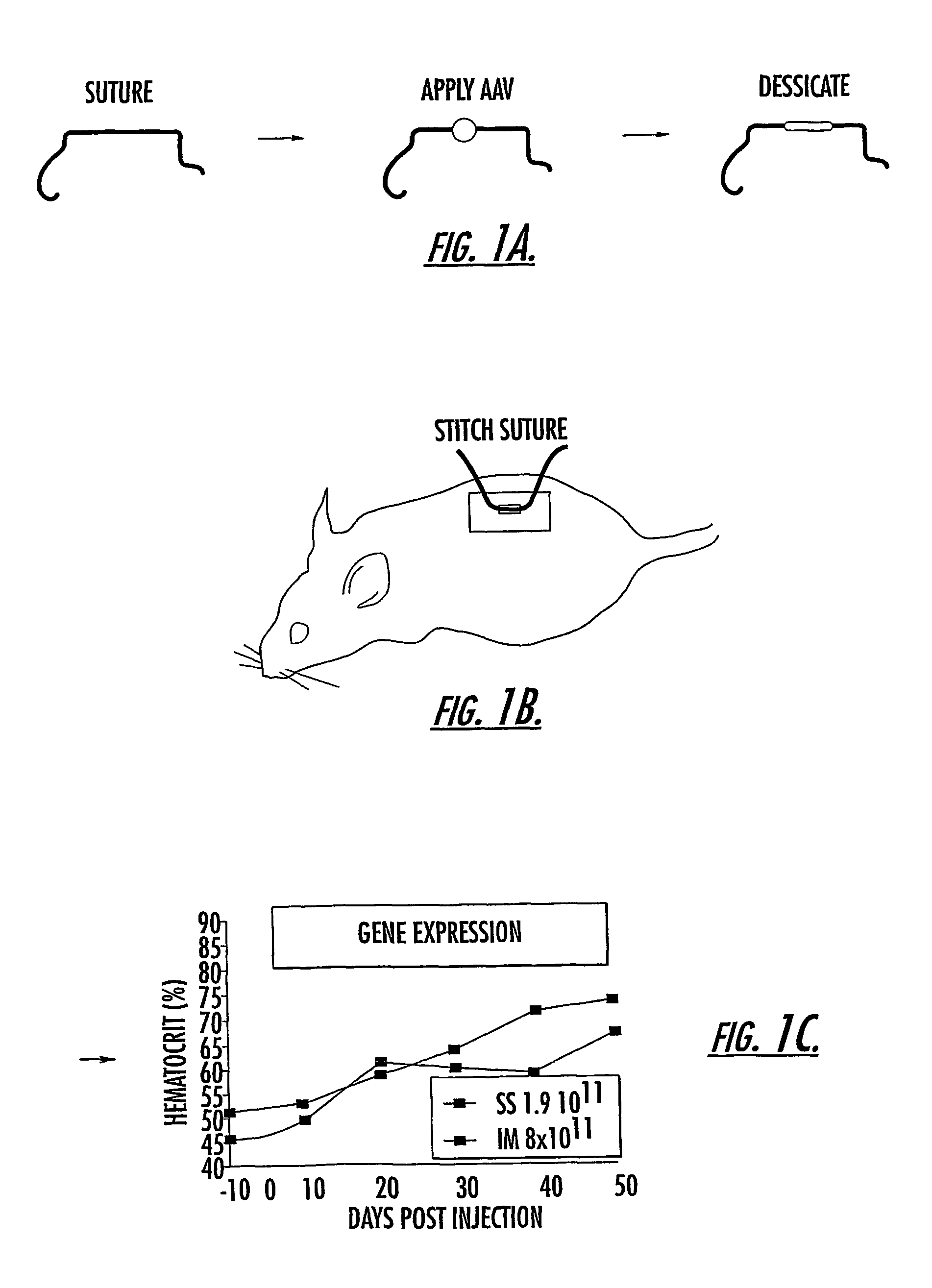 Methods and compounds for controlled release of recombinant parvovirus vectors