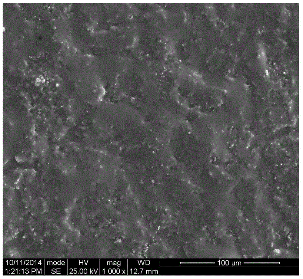 A kind of anti-corrosion composite enamel coating and preparation method thereof