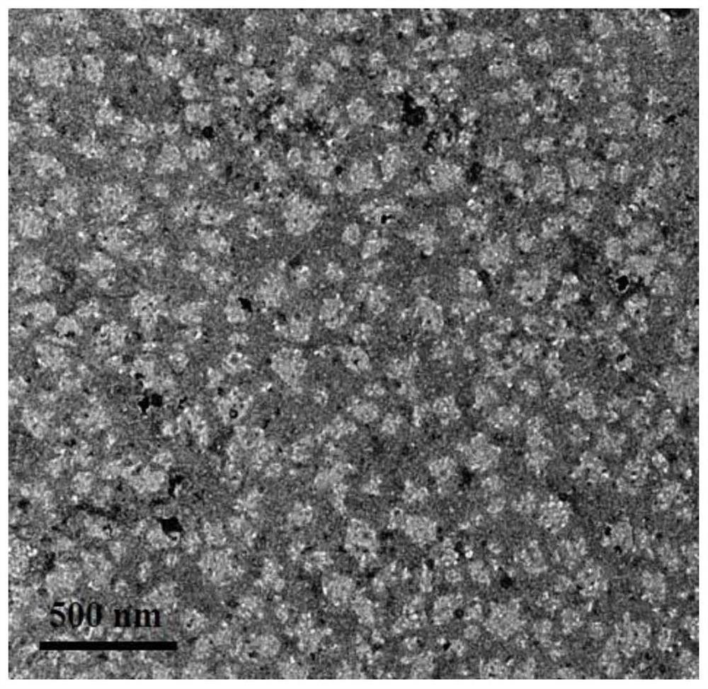 A doxorubicin derivative based on mercapto-betaine modification, nano drug and preparation method thereof