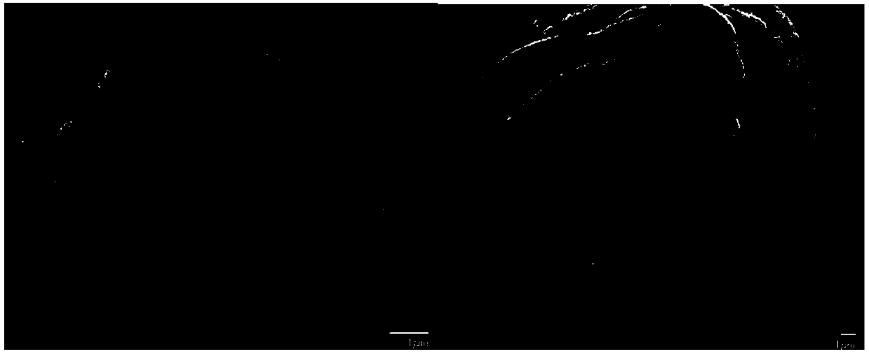 Fullerene water-soluble modifier and preparation method thereof