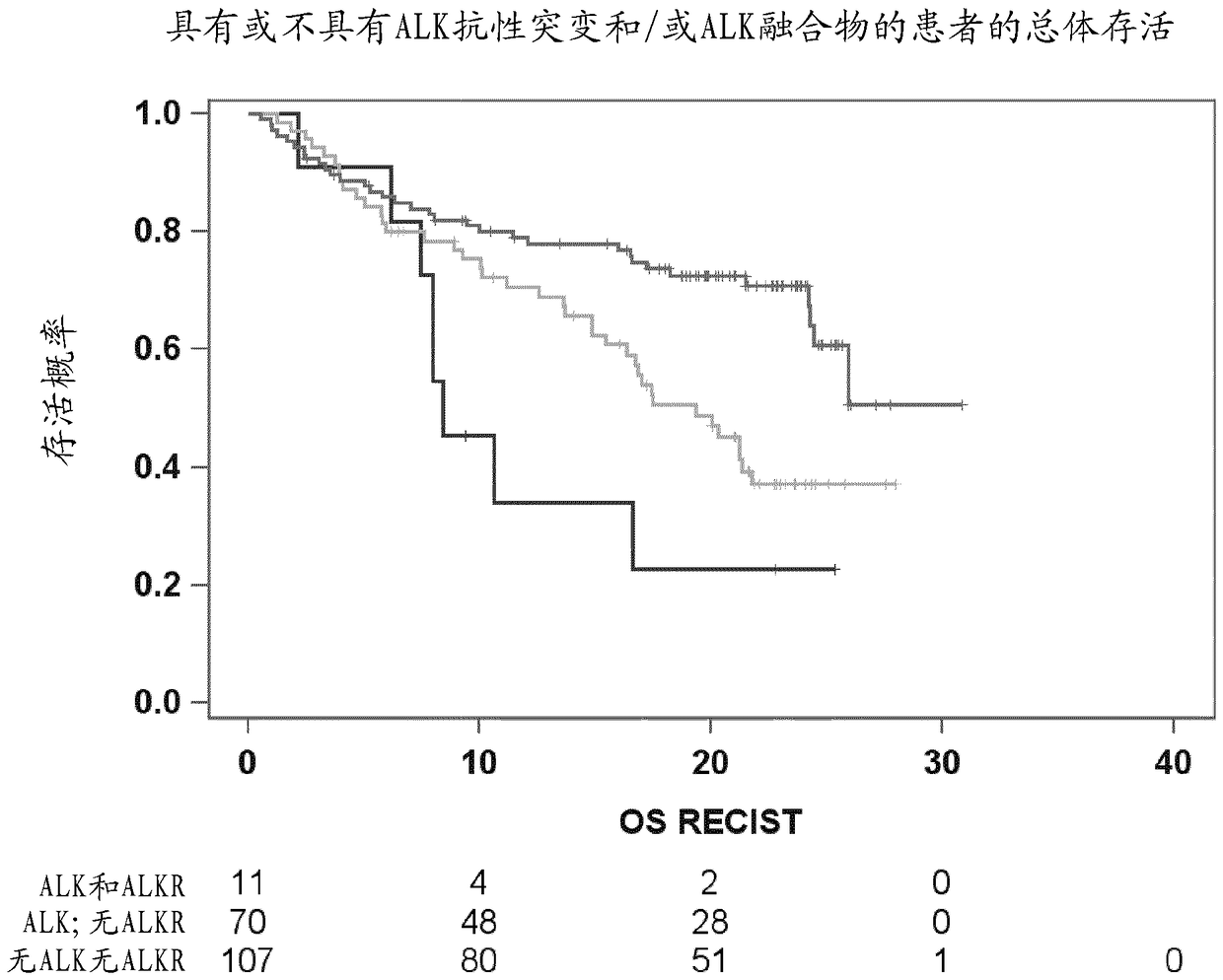 Novel mutations in anaplastic lymphoma kinase predicting response to ALK inhibitor therapy in lung cancer patients